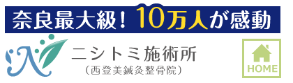 座り仕事が多く腰が痛くなるあなたに伝授 ヤンキーストレッチを奈良県奈良市の整体師が解説 奈良市で整体 整骨院なら口コミランキング1位 ニシトミ施術所