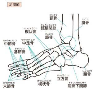 足関節